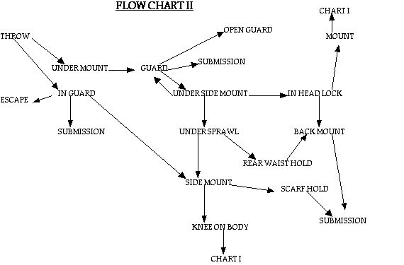 Bjj White Belt Flow Chart